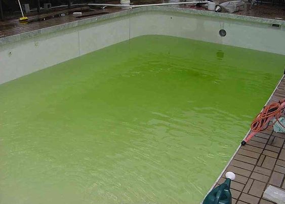 Recuperación aguas verdes en Piscina